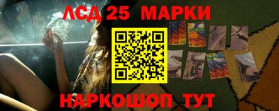 винт Славгород