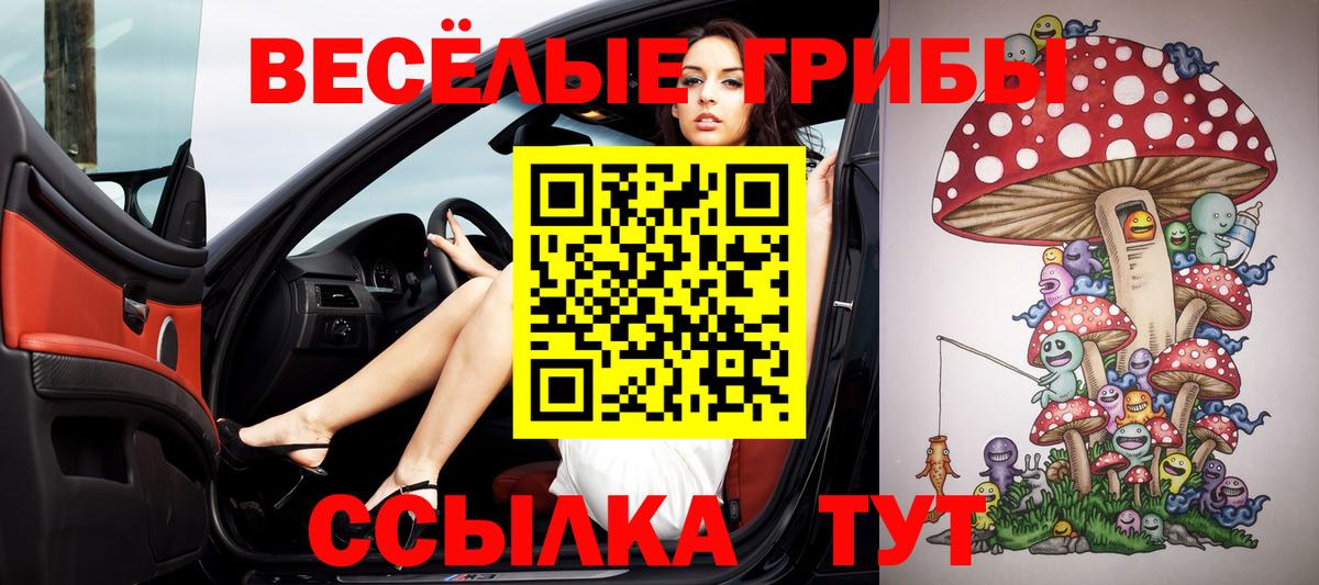 Галлюциногенные грибы Psilocybine cubensis  Галлюциногенные грибы ЛСД  Новоалександровск  Вход с VPN 